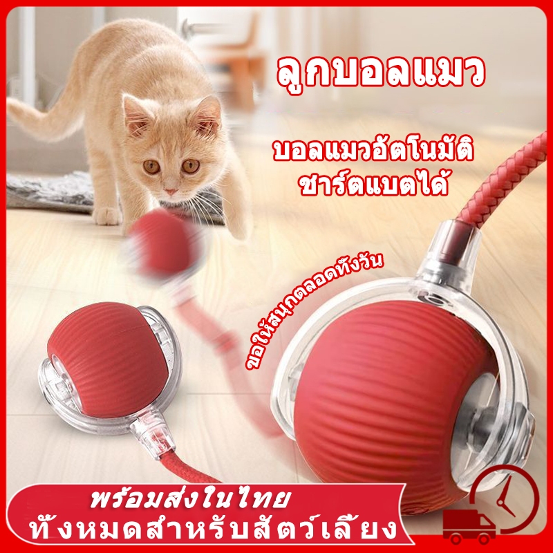 😻ลูกบอลแมว ของเล่นแมว ลูกบอลแมวอัติโนมัติ สมาร์ทไฟฟ้า หมุนได้ ของเล่นแมวโต้ตอบ 360 องศา เรืองแสง ลูกบอลสัตว์เลี้ยง แมว