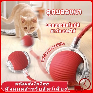 😻ลูกบอลแมว ของเล่นแมว ลูกบอลแมวอัติโนมัติ สมาร์ทไฟฟ้า หมุนได้ ของเล่นแมวโต้ตอบ 360 องศา เรืองแสง ลูกบอลสัตว์เลี้ยง แมว