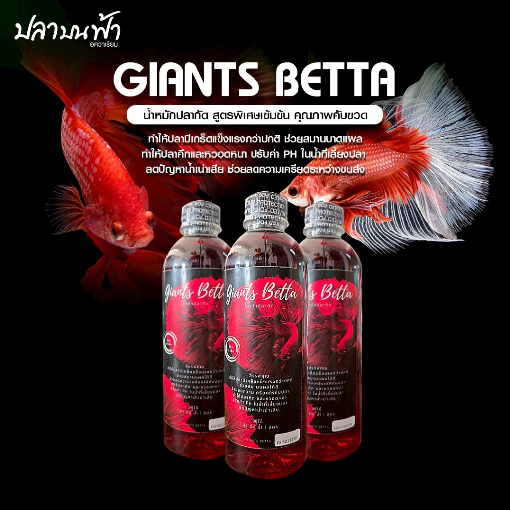 น้ำหมักใบหูกวางสูตรเข้มข้น Giants Better น้ำหมักปลากัด ลดความเครียด ปลาคึก หวอดหนา ปรับค่า PH ในน้ำได้ดี