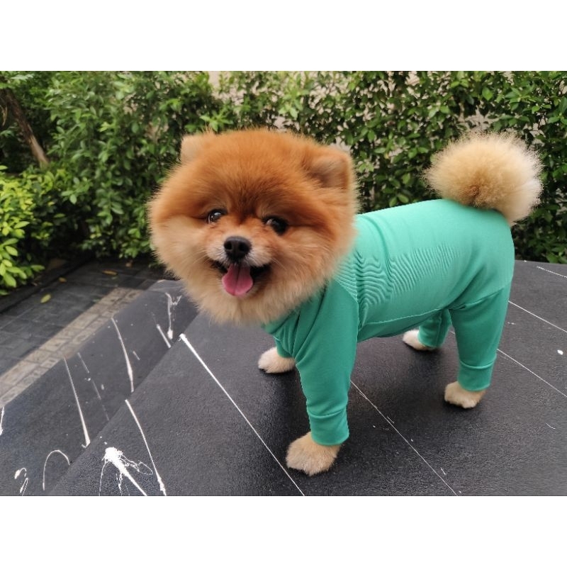 New  Haru ชุดเก็บขนสุนัขเเละเเมว