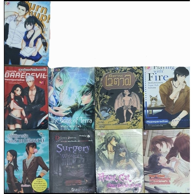 Sale หนังสือนิยาย **มีตำหนิ**