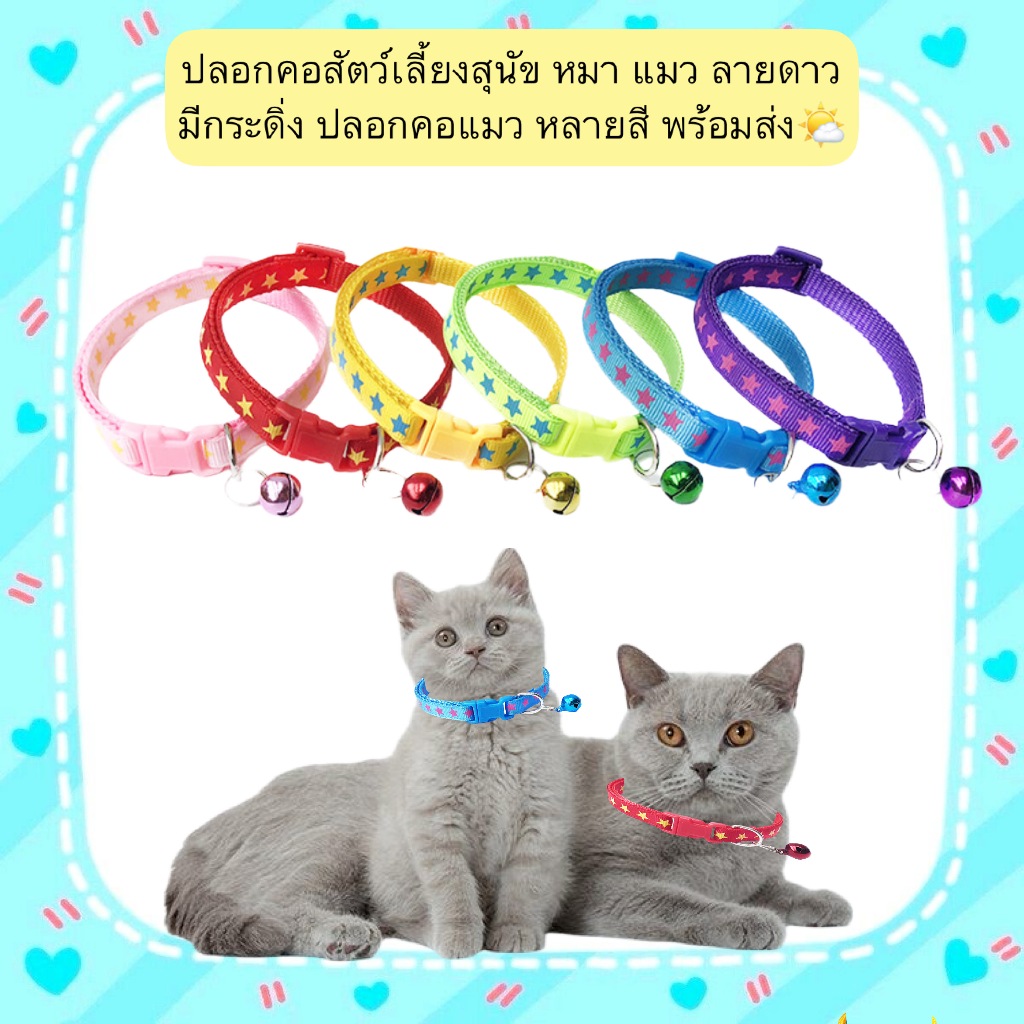 PP-556 ปลอกคอสัตว์เลี้ยง ลายดาวน่ารัก มีกระดิ่ง สำหรับสุนัข หมา แมว ปรับขนาดได้ หลายสี พร้อมส่ง🌤️
