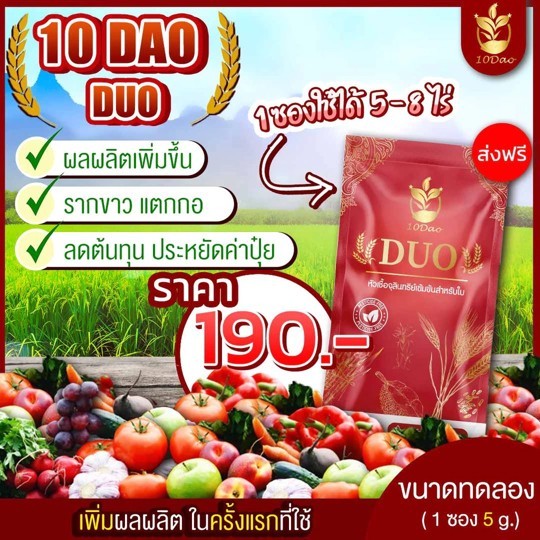 10 ดาว ดูโอ้ หัวเชื้อจุลินทรีย์เข้มข้นสำหรับใบ (ขนาดทดลอง 5 กรัม 1 ซอง)💥ของแท้100%💥สินค้าในไทย