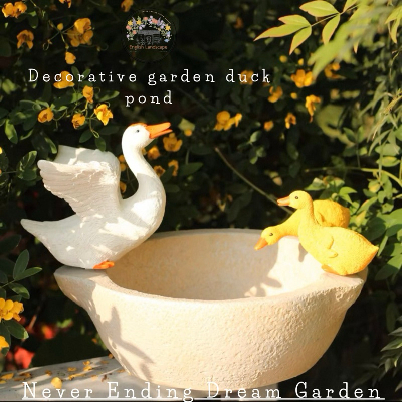 Decorative garden duck pond  อ่างเป็ดตกแต่งสวน  เพิ่มชีวิตชีวาให้สวนของคุณ ด้วยเป็ดตัวจิ๋วสุดน่ารัก  . ราคา ถูกที่สุด ดีลบีเคเค