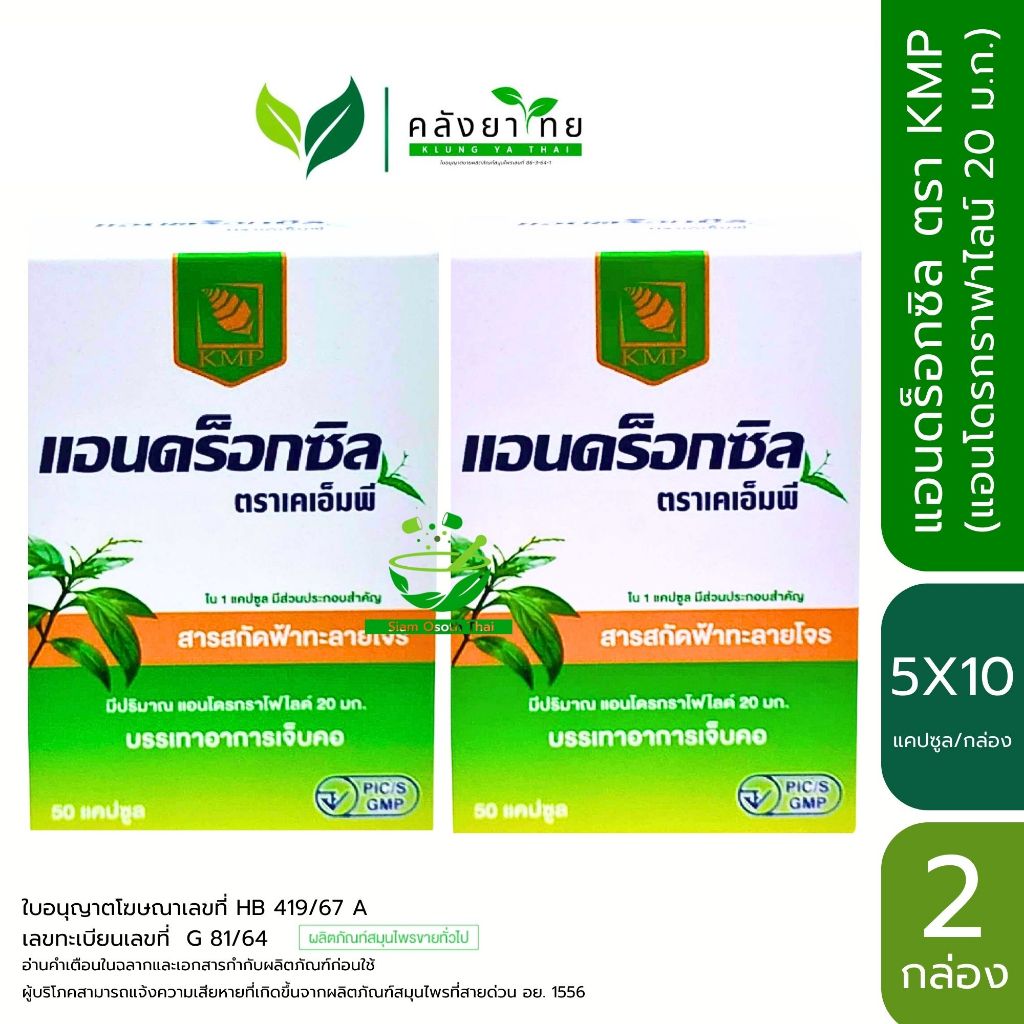 [แพ็คคู่ 100 แคปซูล] แอนดร็อกซิล Androxil สารสกัดฟ้าทะลายโจร 20 มก. [สูตรเดียวกับกล่องสีเขียว]