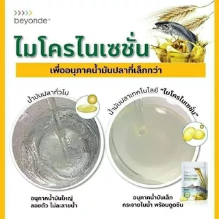 ของใหม่ 💯% บียอนด์ โอเมก3 พลัส+ : 1 ซอง (60 แคปซูล) beyonde Omega 3 Plus+ Fish Oil น้ำมันปลา หลอดเลือดสมองหัวใจ ULIFE