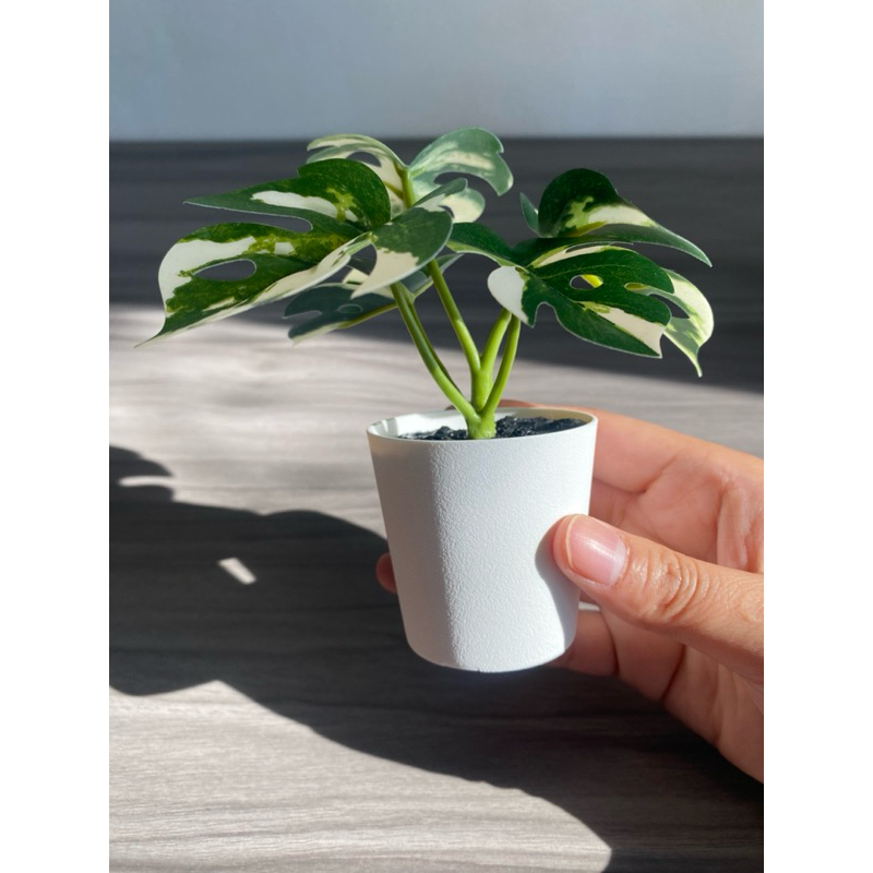 IKEA ต้นมอนสเตอร่า ในกระถางขาว 6 cm. ไม้ประดิษฐ์ในกระถาง FEJKA เฟคก้า ต้นไม้ปลอมตกแต่ง ต้นไม้ประดับโต๊ะทำงาน ของขวัญ