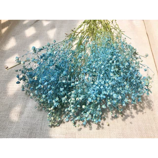 พร้อมส่ง ดอกไม้แห้ง ยิปโซย้อมสี มี2 ขนาด กำเล็ก และกำใหญ่ มีให้เลือกมากถึง 12 สีด้วยกัน