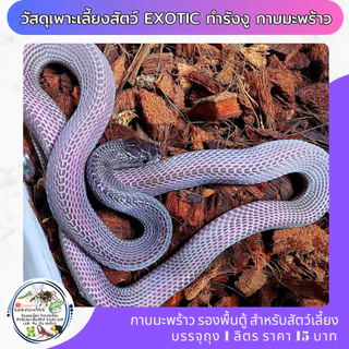 วัสดุเพาะเลี้ยงสัตว์ exotıc ทํารังงู กาบมะพร้าว 15 บาท