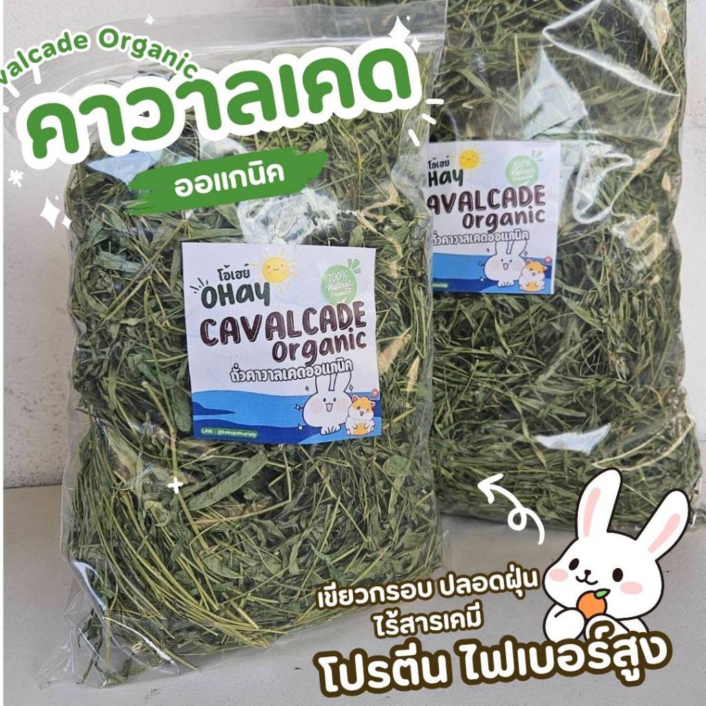 ✨️Ohay✨️ หญ้าถั่วคาวาลเคด พรีเมียม โปรตีนสูง กลิ่นหอมหวาน สำหรับกระต่าย แกสบี้