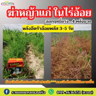 รัวอ้อยพลัส โฉมใหม่ (โปรโมชั่น) สูตรอัพเกรดเพิ่มจำนวนยาในชุด มีถึง 4 ตัว ออกฤกธิ์เร็วแรง ครบจบชุดนี้