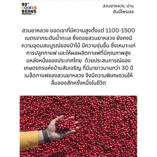 เมล็ดกาแฟคั่วอ่อน สวนยาหลวง Light Roast 200g | Suanyaluang Single Origin Coffee Beans | 93 Degrees