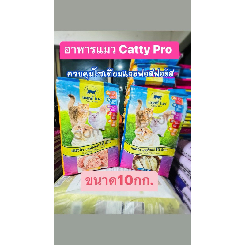 แคทตี้โปร(Catty Pro)อาหารแมวโต 10กก. มี2รสชาติ ควบคุมฟอสฟอรัสและโซเดียม เหมาะกัยแมวทุกพันธุ์