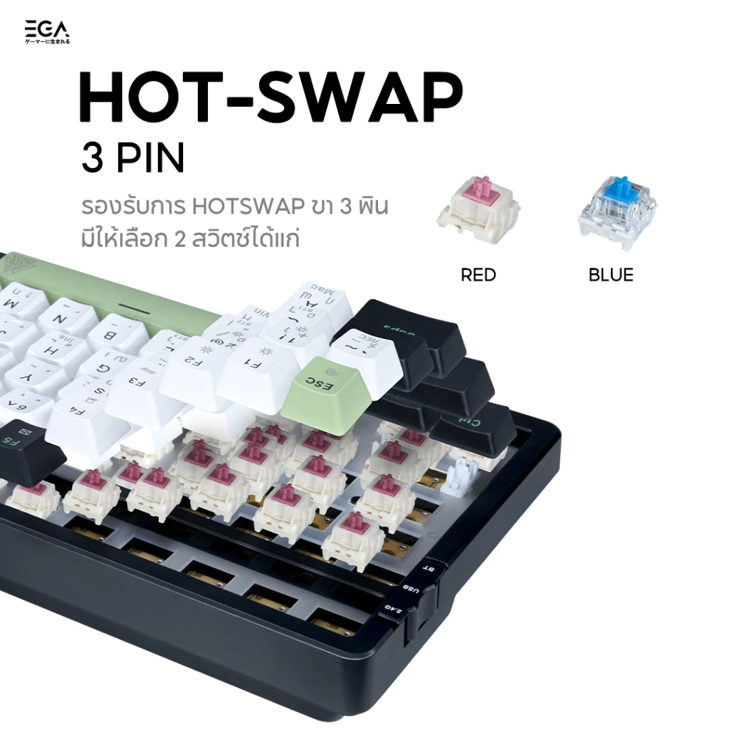 EGA CMK9 คีย์บอร์ดไร้สายใช้งาน 3 โหมด ขนาด96% Hot Swap 3 Pin Mini RGB ประกัน 2 ปี thumbnail 6