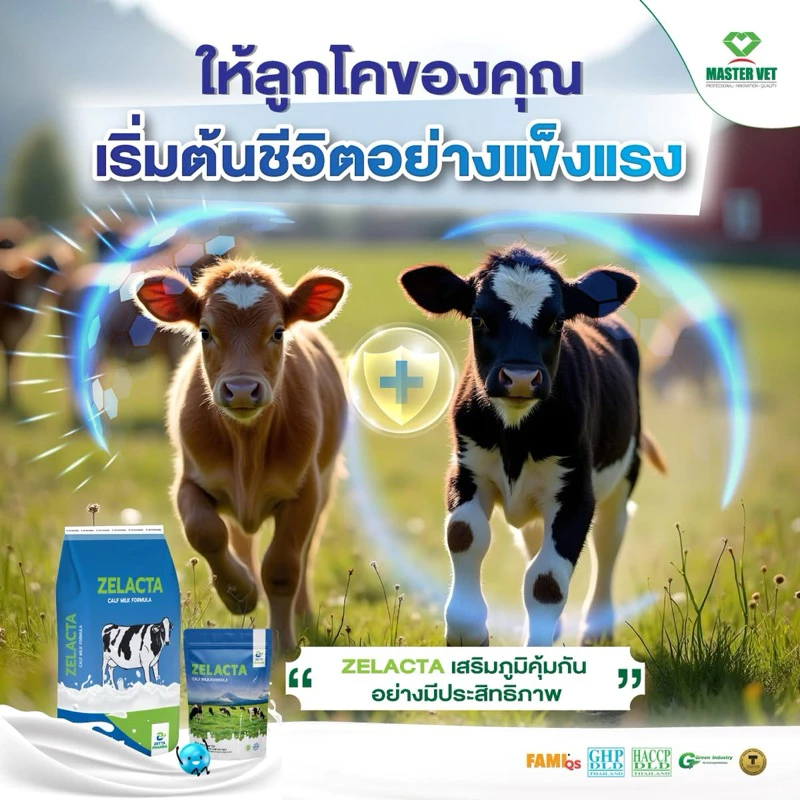 นมผงสำหรับลูกสัตว์ ZELACTA ขนาด 800กรัม