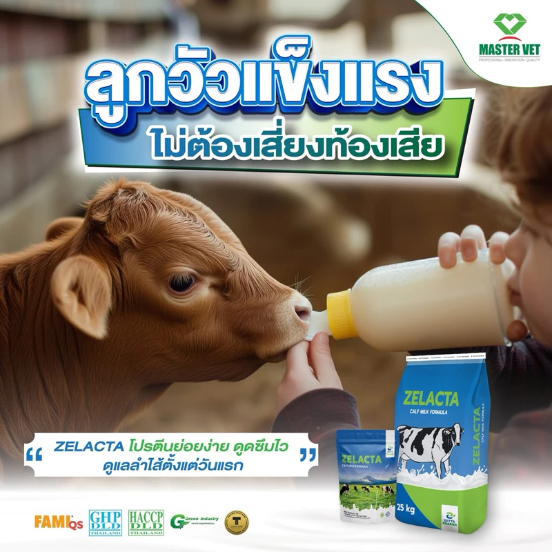 นมผงสำหรับลูกสัตว์ ZELACTA ขนาด 800กรัม thumbnail 7