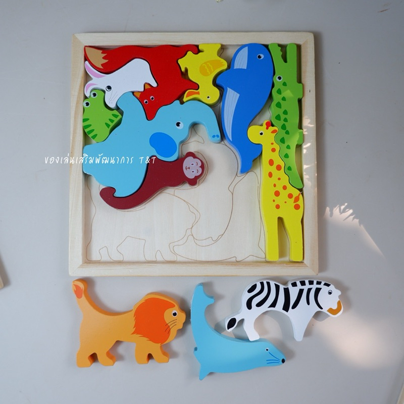 T109 บล็อกไม้ใส่ถาดตามกรอบ แบบใหม่ ขนาดใหญ่ขึ้น ของเล่นไม้เสริมพัฒนาการ - รูปที่ 3