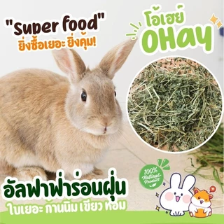 🔥Ohay หญ้ากระต่าย🔥โปรสุดคุ้ม 5 โล 10 โล หญ้าทิมโมธีคัท 1 อัลฟาฟ่า และทิโมธีคัท 3