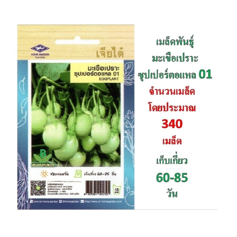 5 ฟรี 1 คละได้ เมล็ดพันธุ์  มะเขือเปราะ ซุปเปอร์ตอแหล 01 ตราเจียได๋  เมล็ดผัก เมล็ดพันธุ์ผัก