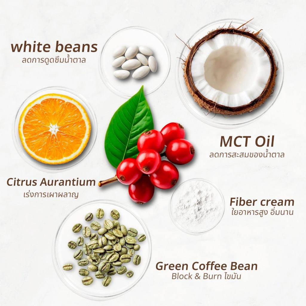 EVE'S อีฟส์ เวลคอฟฟี่ Hey! Well Coffee เวลวีเนส กาแฟเพื่อสุขภาพ กาแฟบล็อคเบรินส์ ไม่มีน้ำตาล ไม่มีครีมเทียม มีพรีไบโอติก - รูปที่ 6