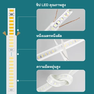 🔥ไฟแถบLED 5050 กันน้ำ220V สว่างสูง ✨ติดตั้งง่าย ใช้ได้ห้องนั่งเล่น-ทางเดิน-สวน