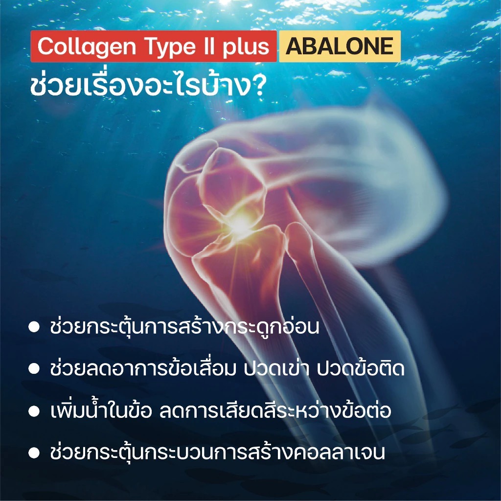 WELL-U Collagen Type 2 Plus Abalone เวล ยู คอลลาเจน ไทป์ทู พลัส อบาโลน [อบาโลน กระปุกขาวส้ม 100 กรัม] [2 กระปุก] - รูปที่ 3