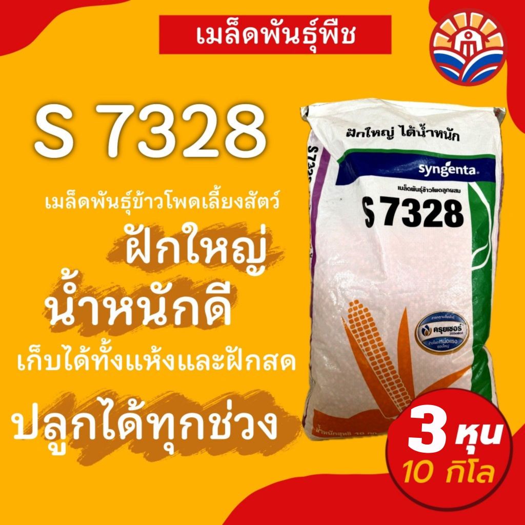 ส่งไว! ข้าวโพดเลี้ยงสัตว์ NK7328 10กิโล ฝักใหญ่ได้น้ำหนัก ให้ผลผลิตสูง ปรับตัวเข้ากับสภาพแวดล้อมได้ด