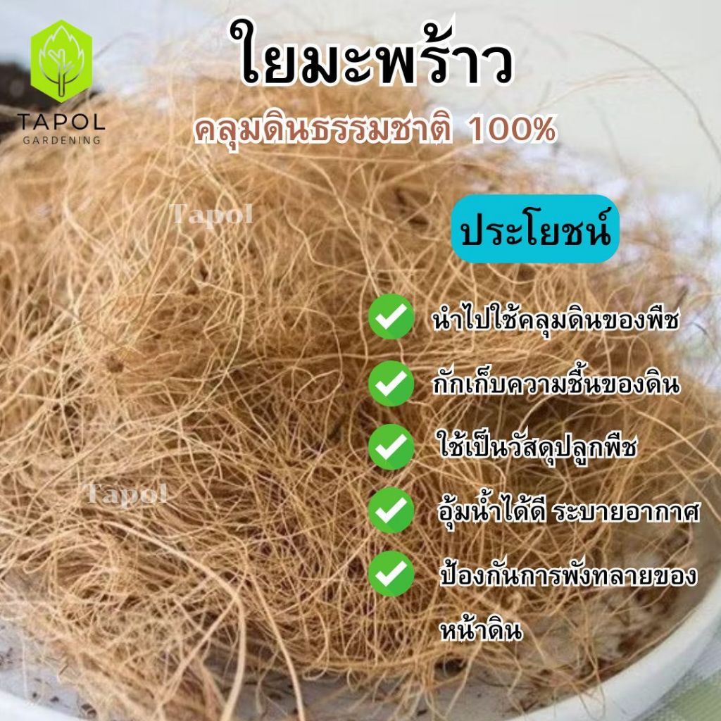 ใยมะพร้าว วัสดุคลุมดินจากธรรมชาติ สำหรับรองก้นกระถาง คลุมดิน ช่วยกักเก็บความชุ่มชื้นให้ดิน