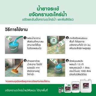 น้ำยาจระเข้ ขจัดคราบตะไคร่น้ำ บนพื้นปูน และสระว่ายน้ำ ใช้งานง่าย ไม่ทำให้พื้นผิวเสียหาย มี 2 ขนาด