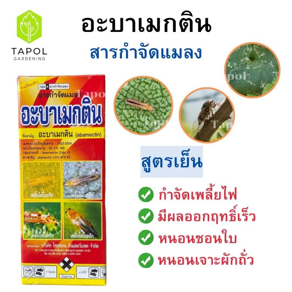 อะบาเมกติน สูตรเย็น สารกำจัดแมลง หนอน เพลี้ย มีผลออกฤทธิ์เร็ว ตายเรียบ