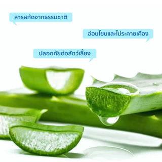 Petcho Ears&Eyes Wipes แผ่นเช็ดตา แผ่นเช็ดหู 2in1 สำหรับสัตว์เลี้ยง 120 แผ่น