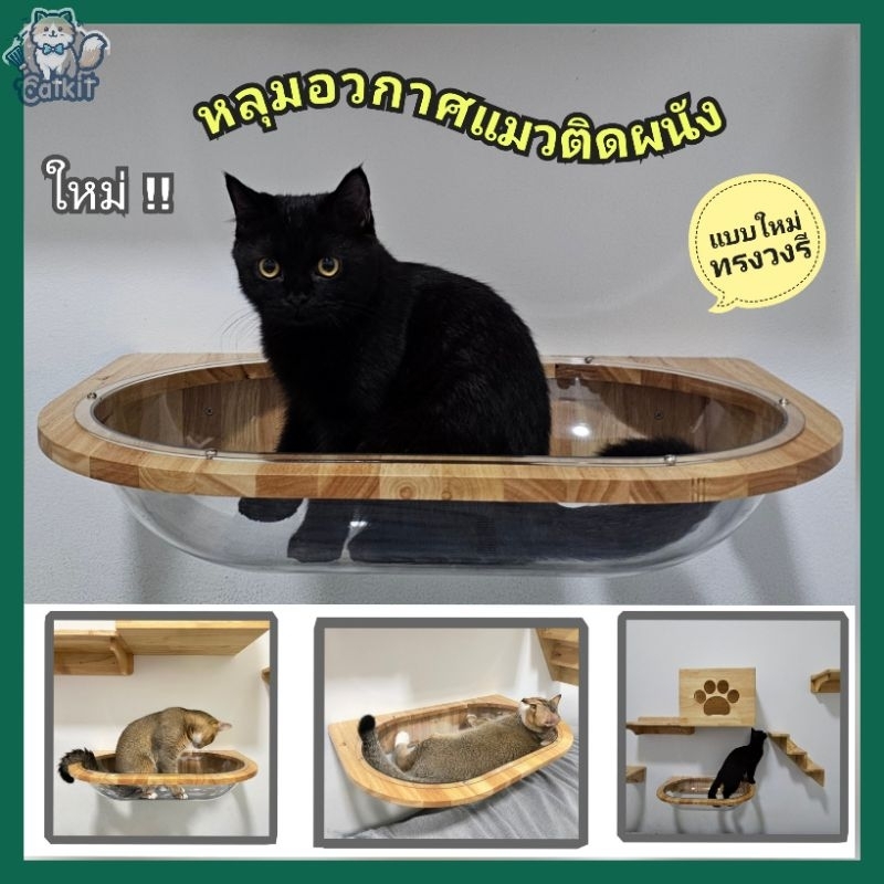 ใหม่ !! หลุมอวกาศแมวติดผนังวงรี  หลุมแมว ที่นอนแมว (พร้อมหลุมใสอะคริลิค)