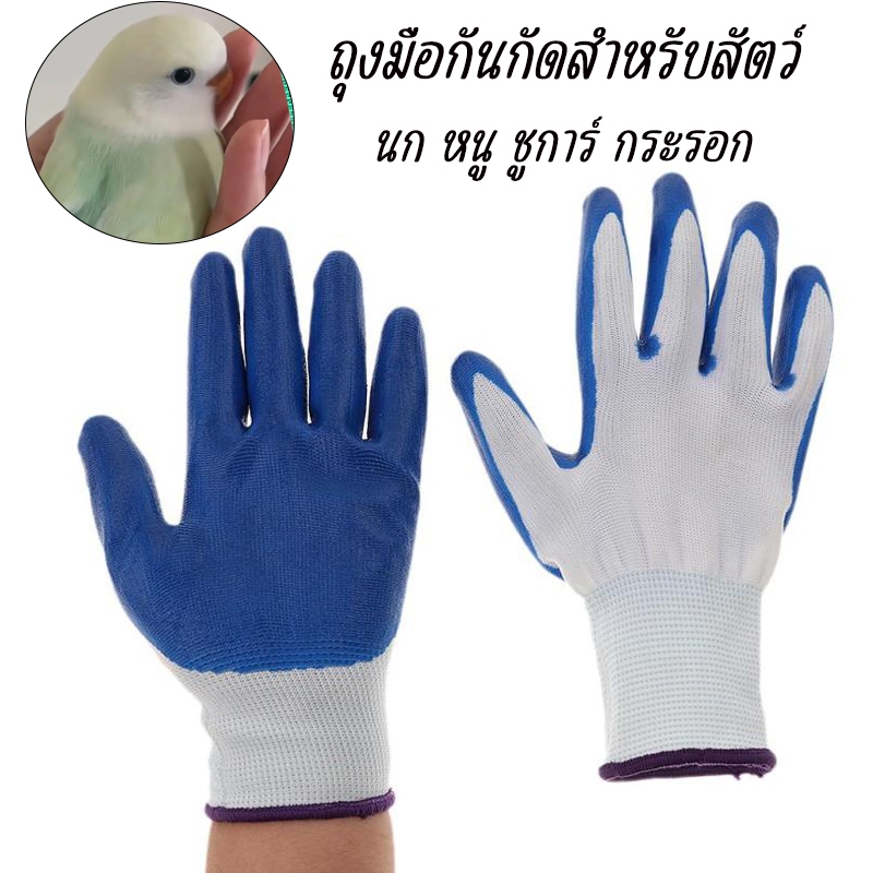 ถุงมือกันกัดสำหรับสัตว์ ถุงมือกันกัดนก แมว กระรอก หนู แฮมสเตอร์ ชูการ์ ถุงมือยาง คุณภาพดี