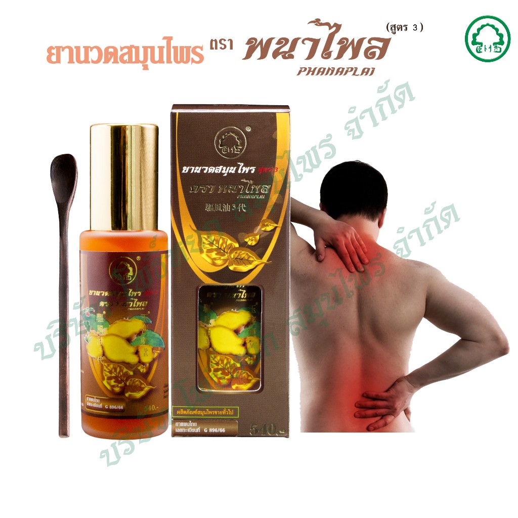 ยานวดสมุนไพร ตราพนาไพล ขนาด 85 กรัม/ขวด (ขวดเดี่ยวแบบป้ำ) ใช้ทาบริเวณที่มีอาการปวดเมื่อยตามร่างกาย มีอย. - รูปที่ 2