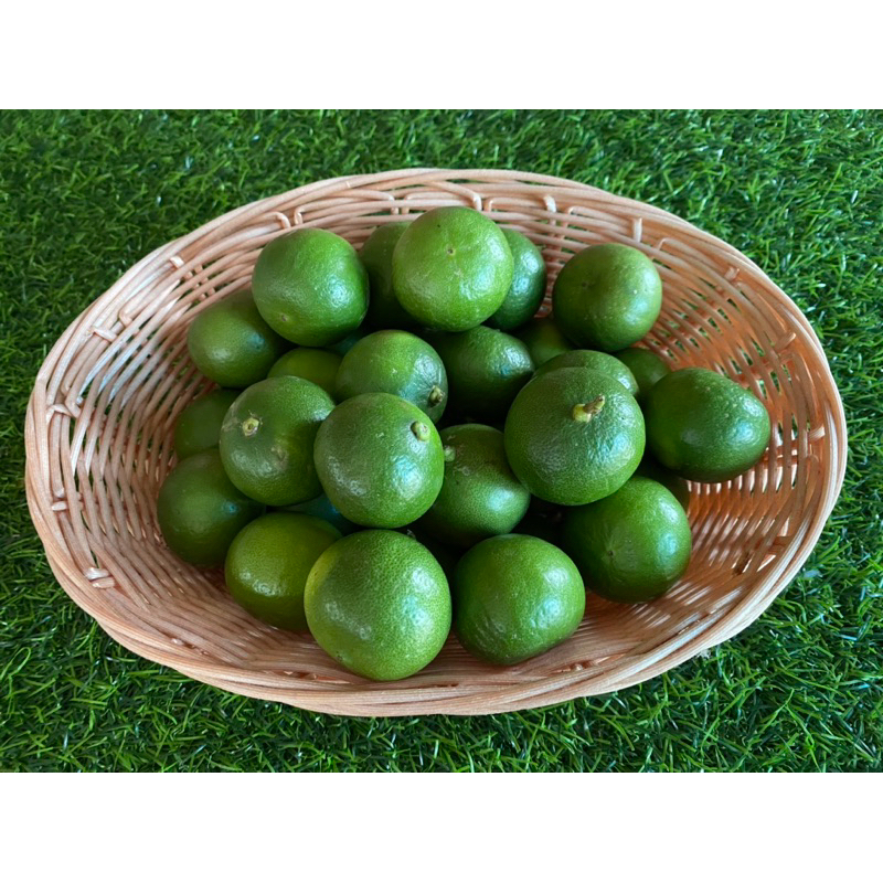 มะนาวแป้นรำไพแท้ น้ำดีคัดเกรด🍋 (เบอร์ 600)