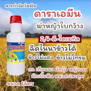 ดาราเอมีน หมาแดงน้ำ 2-4ดึ ฆ่าหญ้าใบกว้าง เช่นผักปอดนา ผักบุ้ง กก หนวดปลาดุก แห้วหมู