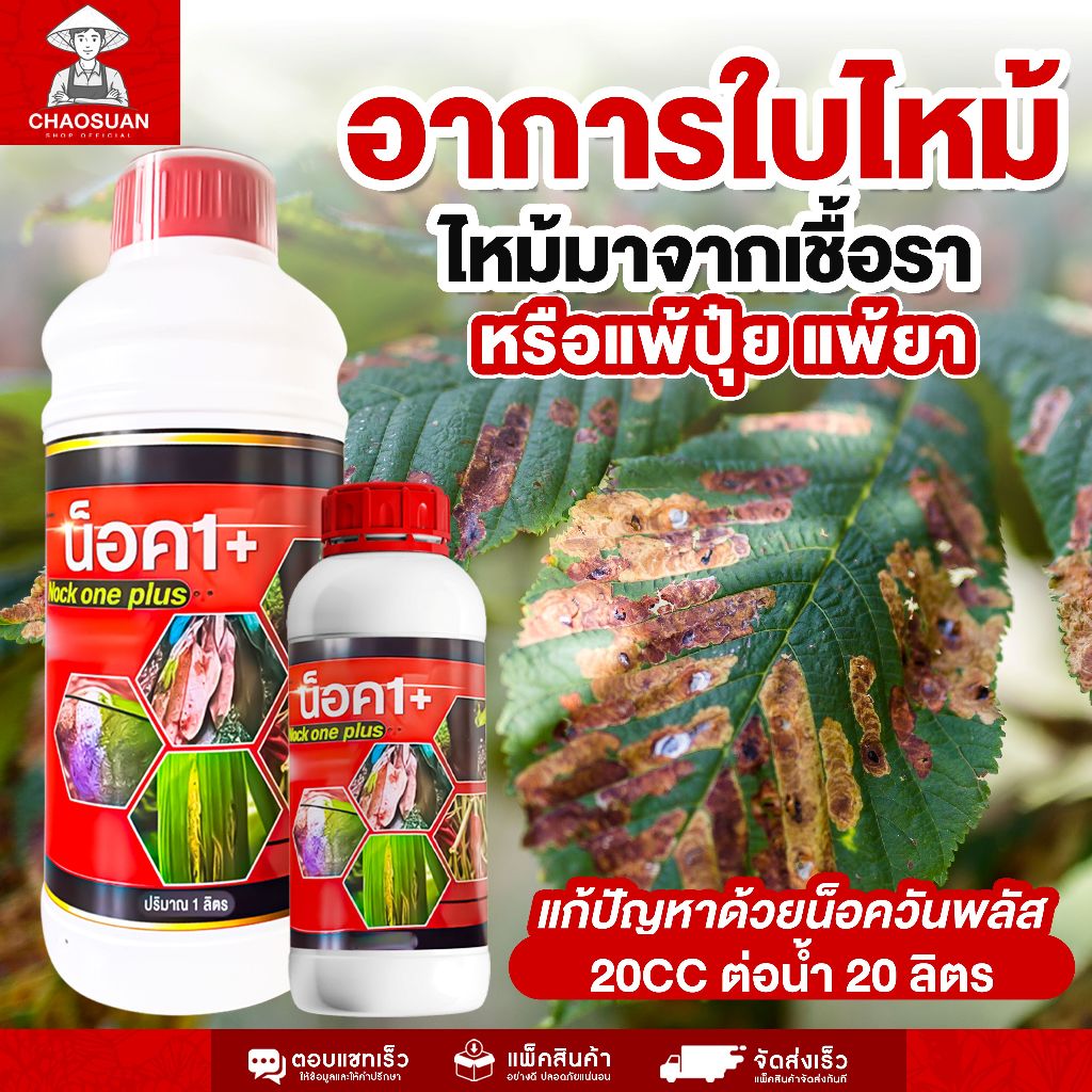 อาการใบไหม้ ไหม้มาจากเชื้อราหรือแพ้ปุ๋ย แพ้ยา แก้ปัญหาด้วยน็อควันพลัส