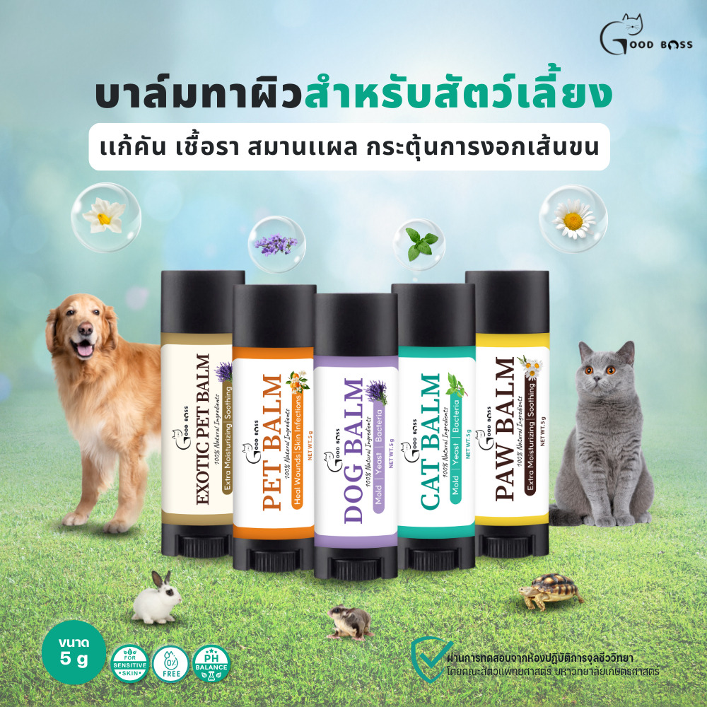 Goodboss Balm Stick บาล์มเเท่งสำหรับสัตว์เลี้ยง เชื้อรา ยีสต์ ลดคัน เกา ขนร่วง สูตรออแกนิค 5 กรัม