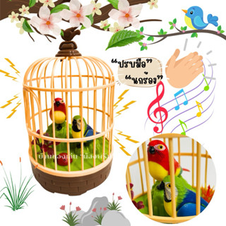 นกเกราะกิ่งไม้ ร้องได้เวลาดีดมือ หรือ ปรปมือ