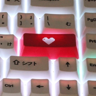 Custom Keycaps OEM Profile สำหรับปุ่ม Esc, Enter, WASD และ Arrow Key สำหรับคีย์บอร์ด Mechanical