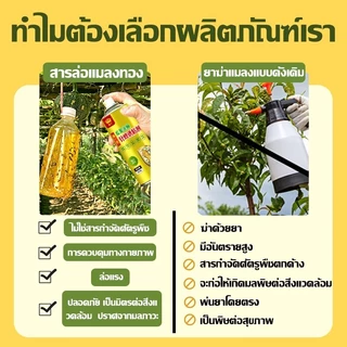 สเปย์ล่อแมลงวันทอง กาวดักแมลงวัน 🐝ใช้ 1 ครั้ง ฆ่าแมลงวันได้ 100000 ตัว🐝 น้ำยาดักแมลงวันทอง สเปรย์กาว 450ml