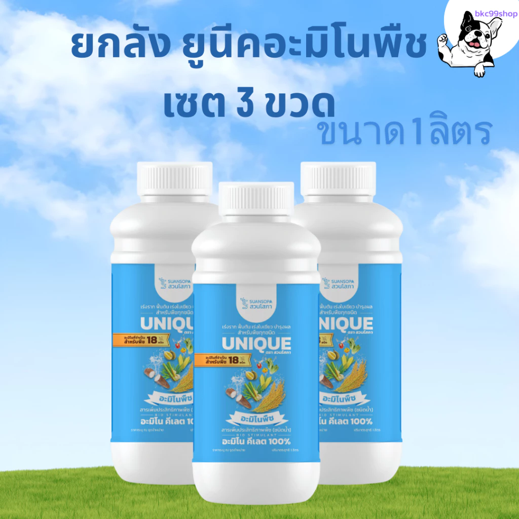 ยูนีค อะมิโนนาโนคีเลต (เซตสุดคุ้ม 3 ขวด ) เร่งการเจริยเติบโต เร่งการแตกราก แตกกอ แตกใบ บำรุงดอก บำรุงผล