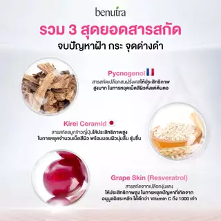 Benutra PYCNOGENOL with Ceramide + Grape Skin 1 ก. 30 เม็ด เปลือกสนฝรั่งเศส ฝ้า กระ จุดด่างดำ ผิวใส