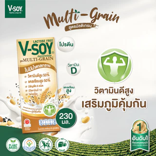 วีซอย ไฮแคลเซียม สูตรมัลติเกรน 230 มล. X 36 กล่อง