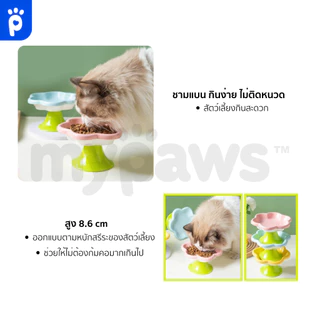 My Paws ชามอาหารสัตว์เลี้ยง แบบเซรามิค มีหลายแบบให้เลือก สีสันสวยงาม ชามอาหารหมาแมว