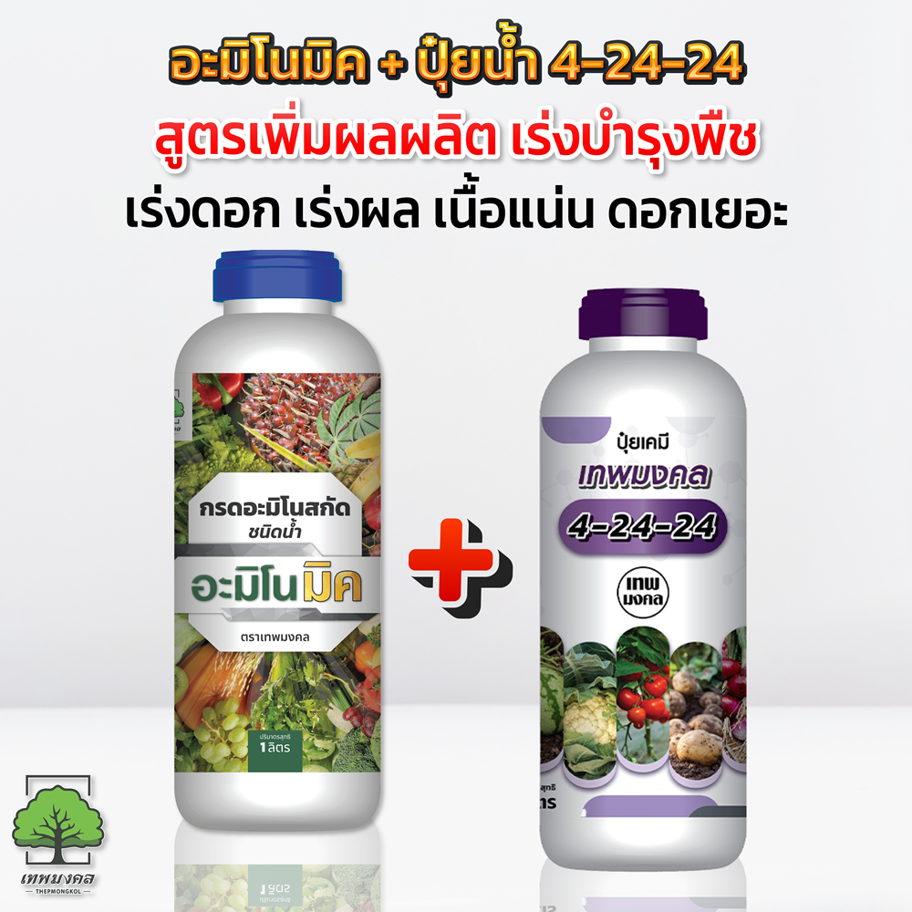 อะมิโนมิค + ปุ๋ยน้ำ 4-24-24 ตราเทพมงคล คู่หู เร่งดอก เพิ่มผลผลิต รสชาติดี ขนาด 1ลิตร