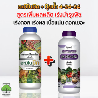 อะมิโนมิค + ปุ๋ยน้ำ 4-24-24 ตราเทพมงคล คู่หู เร่งดอก เพิ่มผล…