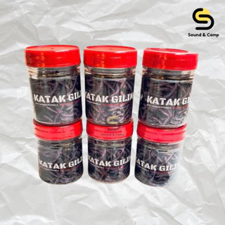 KATAK GILING กบบด อาหารเสริมสำหรับปลานักล่า อาหารปลาช่อน