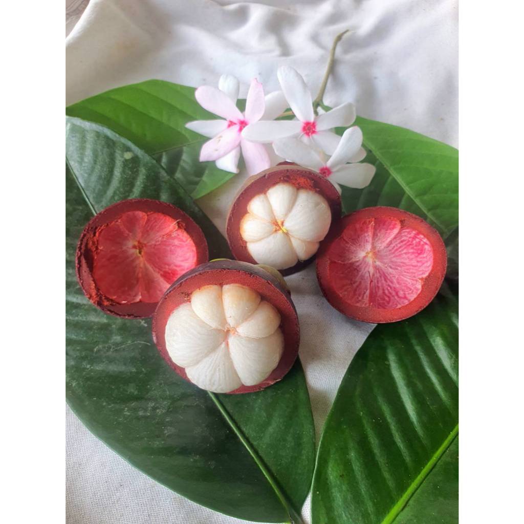 ลูกจิ๋ว มังคุดอินทรีย์ ชาวสวนส่งเองจากจันทบุรี ขนาดพอดีคำ สด หวาน ฉ่ำ เหมือนมาเด็ดเองจากต้น