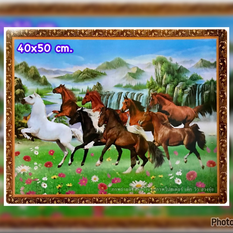 ภาพม้า ม้ามงคล ม้า 8 ตัว ขนาด 40x50 cm. ไม่มีกรอบรูป #ภาพโปสเตอร์ ตกแต่งผนัง บ้าน คอนโด ห้องทำงาน ร้านค้า ร้านอาหาร